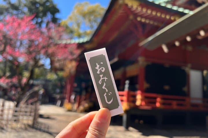 Tokyo: Yanaka & Nezu Old Town Heritage Walk — photo 8