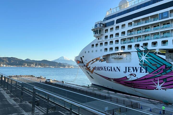Private Sightseeing Tour from Shimizu Port / Sedan Taxi — photo 7