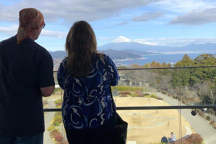 Private Sightseeing Tour from Shimizu Port / Sedan Taxi — photo 8