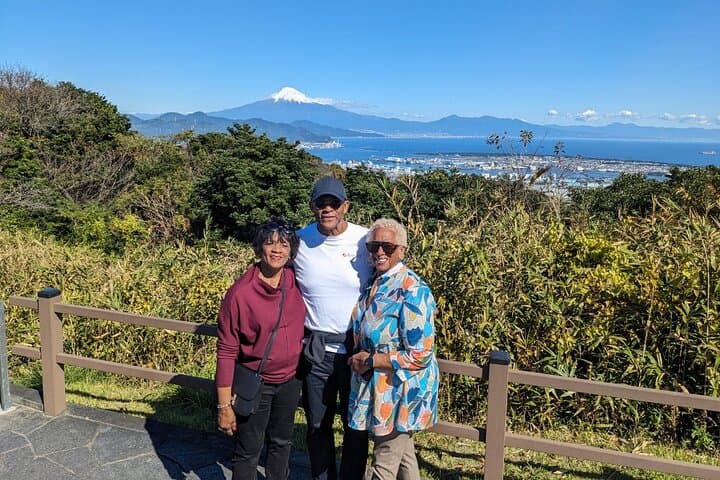 Private Sightseeing Tour from Shimizu Port / Sedan Taxi — photo 10