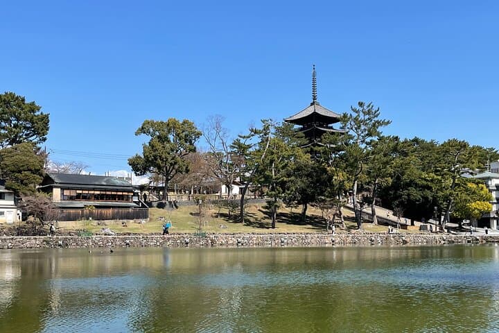 Nara Private Tour: Flexible Pickup from Kyoto, Osaka, or Nara — photo 9