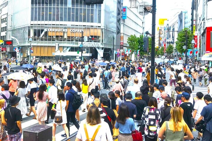 Tokyo Full Course Tour: Explore 15 Must-See Sights & Hidden Gems — photo 16