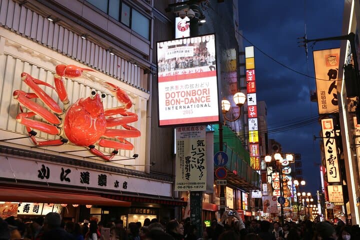 Kansai KIX pick up or drop off service⇋Osaka urban area — photo 8