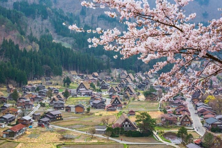 1 Day Private Charter Tour to Shirakawa-go & Takayama — photo 2
