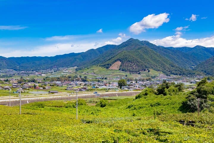 Yamanashi Koshu Winery Private Tour with Licensed Guide & Vehicle — photo 10