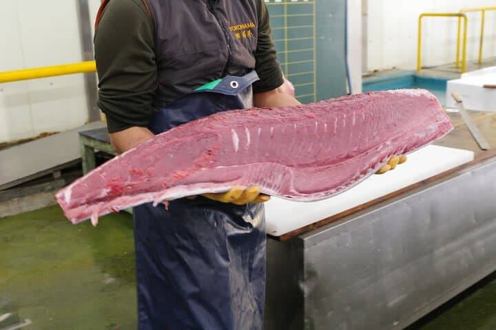Learn Sushi-grade fish with a licensed guide @Yokohama fishmarket — photo 7