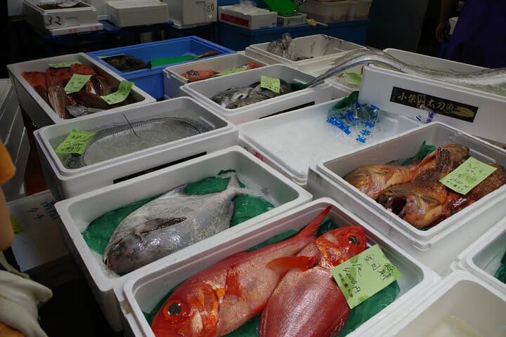 Learn Sushi-grade fish with a licensed guide @Yokohama fishmarket — photo 11