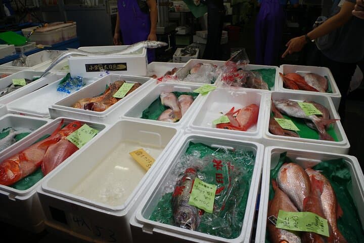 Learn Sushi-grade fish with a licensed guide @Yokohama fishmarket — photo 10