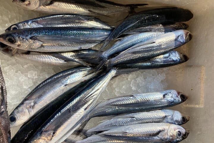 Learn Sushi-grade fish with a licensed guide @Yokohama fishmarket — photo 13