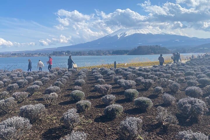 Full Day Private Tour to Mt Fuji by Luxury Vehicle — photo 3
