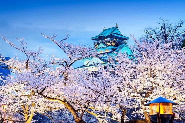 Kansai Area City to City Transfer — photo 15