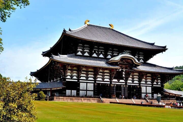 Kansai Area City to City Transfer — photo 12
