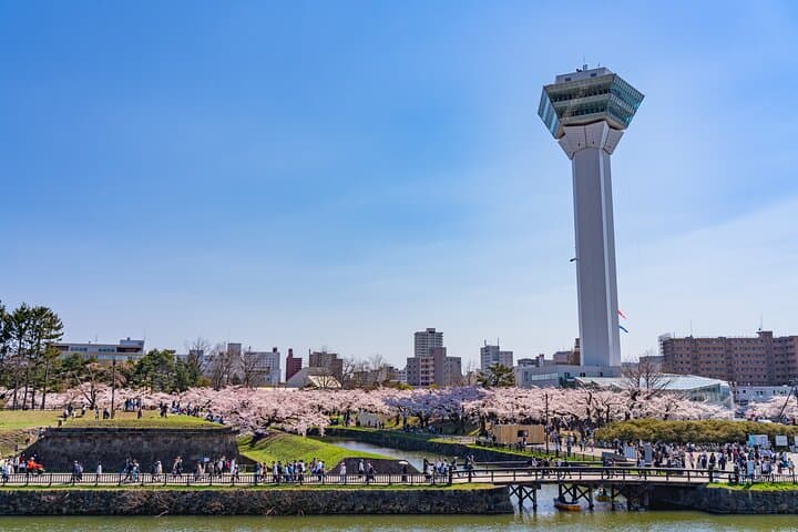Hakodate Private Customizable 6-Hour Tour — photo 6
