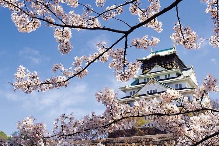 4 Days Private Customizable Tour in Osaka, Nara, Kyoto, Kobe — photo 12
