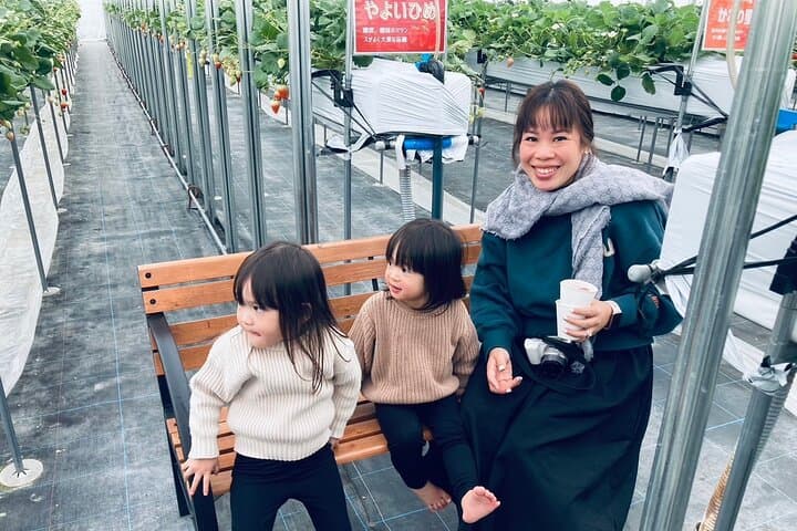 All You Can Eat Strawberry Picking in Izumisano Osaka — photo 7