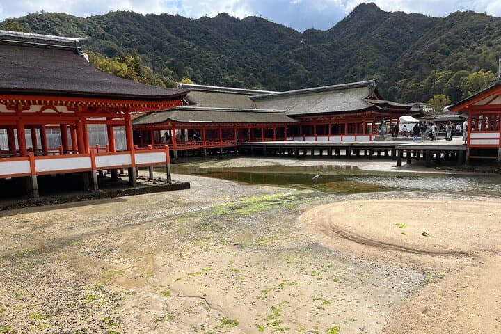 Private Guided Tour to Miyajima from Osaka or Kyoto — photo 5