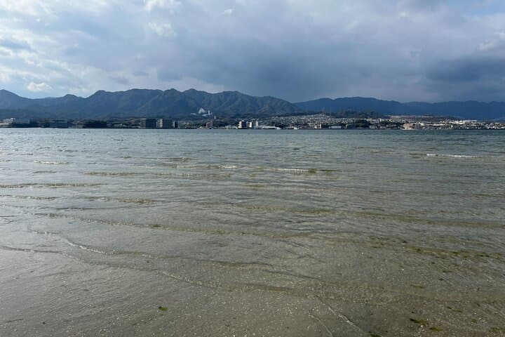 Private Guided Tour to Miyajima from Osaka or Kyoto — photo 8