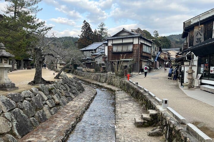 Private Guided Tour to Miyajima from Osaka or Kyoto — photo 12