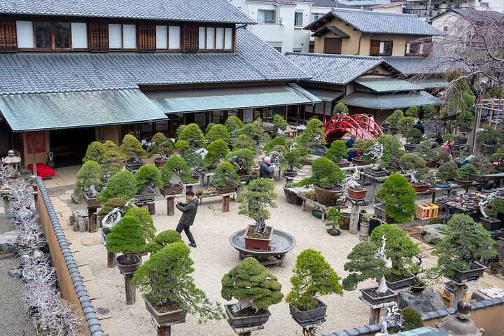 Make Your Own Bonsai with a Professional Bonsai Artist in Tokyo — photo 12