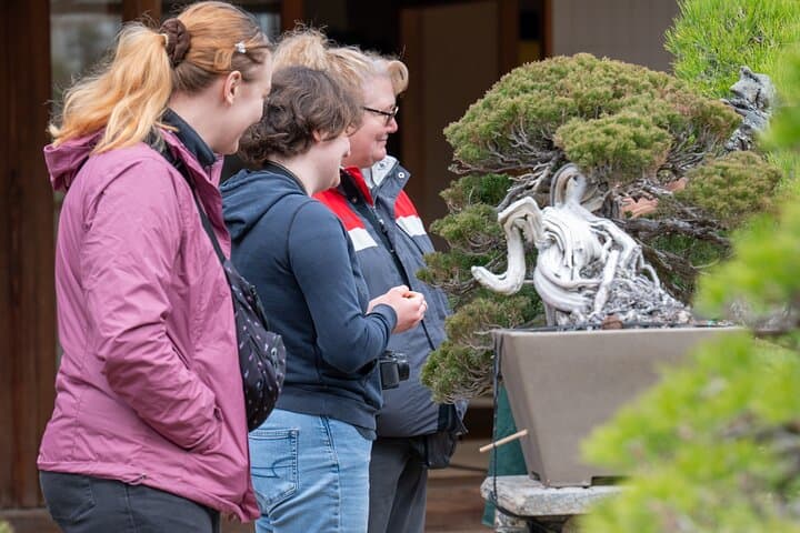 Make Your Own Bonsai with a Professional Bonsai Artist in Tokyo — photo 6