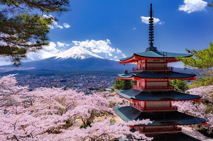 Mt. Fuji one day Private tour from tokyo with English guider — photo 2