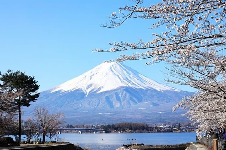 Mt. Fuji one day Private tour from tokyo with English guider — photo 4