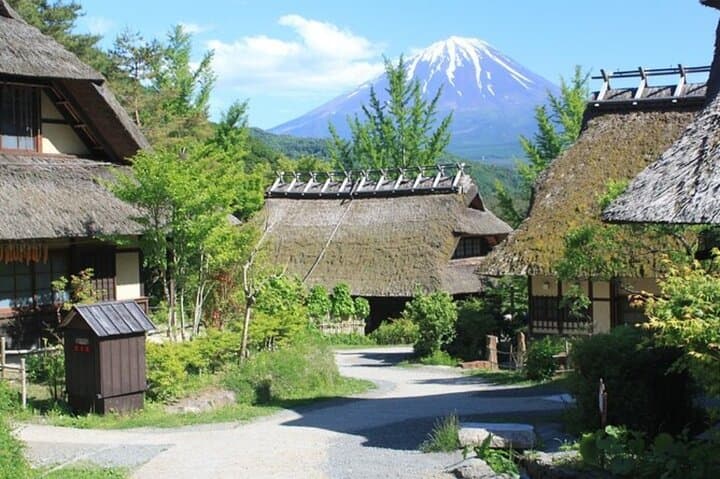 Mt. Fuji one day Private tour from tokyo with English guider — photo 6