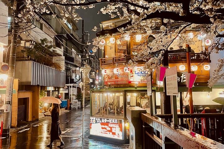 Exciting Evening of Eats in Tokyo — photo 6