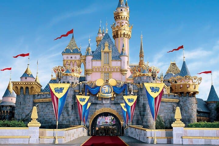 Narita Airport (NRT) To/From Tokyo Disney or Yokohama — photo 14