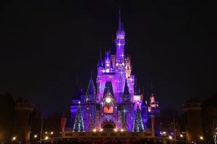 Private Transfer: Haneda Airport to Tokyo, Disney or Yokohama — photo 13