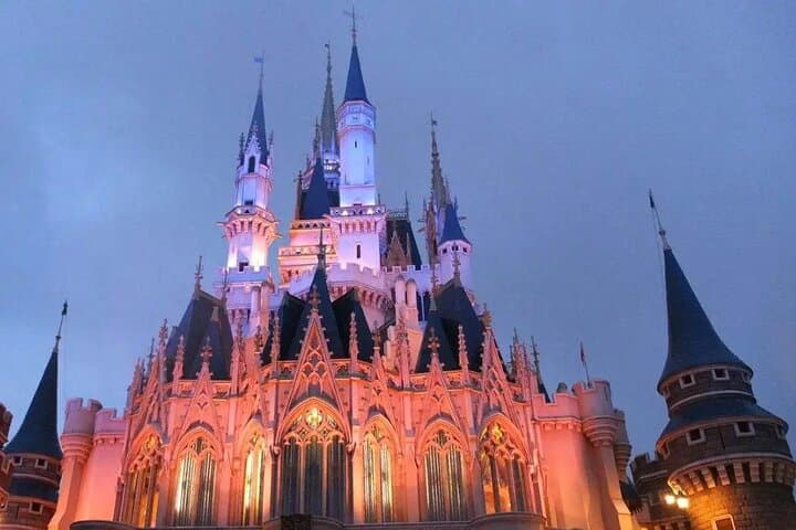 Narita Airport (NRT) To/From Tokyo Disney or Yokohama — photo 18