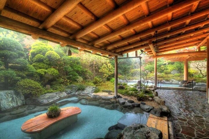 Airport transfer between Narita and Mount Fuji or Hakone Onsen — photo 18
