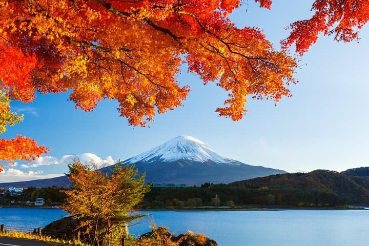 Airport transfer between Narita and Mount Fuji or Hakone Onsen