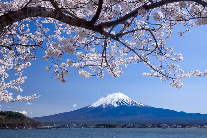 Airport transfer between Narita and Mount Fuji or Hakone Onsen — photo 2