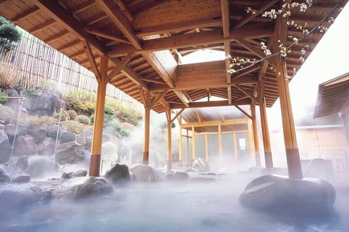 Airport transfer between Narita and Mount Fuji or Hakone Onsen — photo 15