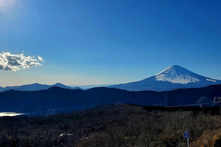 Hakone Full-Day Private Tour from Tokyo (Customizable) — photo 11