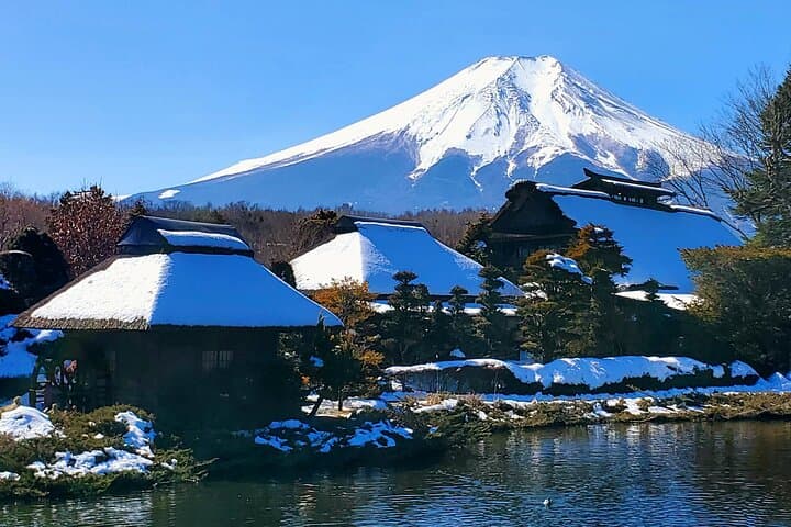 Mount Fuji and Hakone Private Tour from Tokyo (Customizable) — photo 8