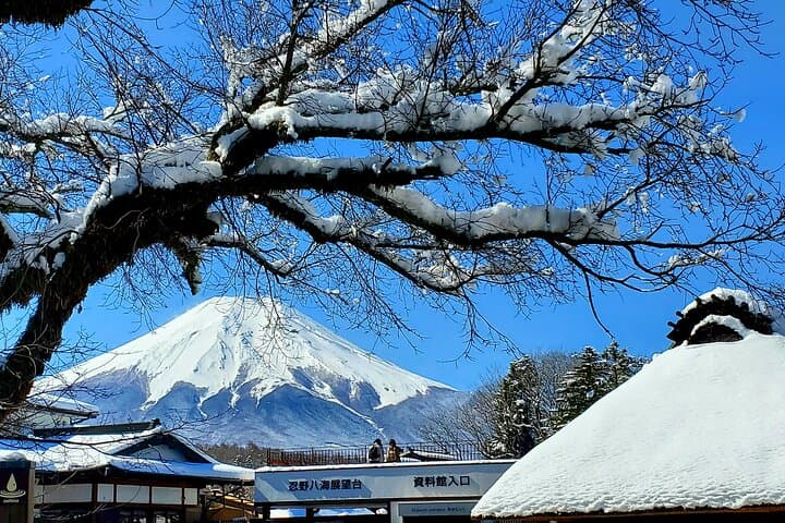 3 Days, 1. Tokyo, 2.Mt. Fuji & 3. Hakone Private Tour from Tokyo — photo 16