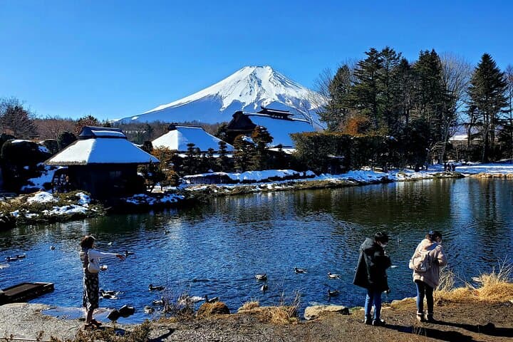 Mount Fuji and Hakone Private Tour from Tokyo (Customizable) — photo 4