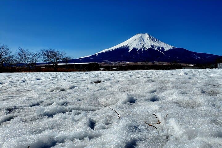 Mount Fuji and Hakone Private Tour from Tokyo (Customizable) — photo 10