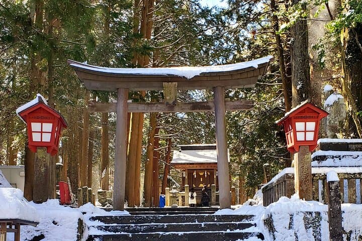 Mount Fuji and Hakone Private Tour from Tokyo (Customizable) — photo 11