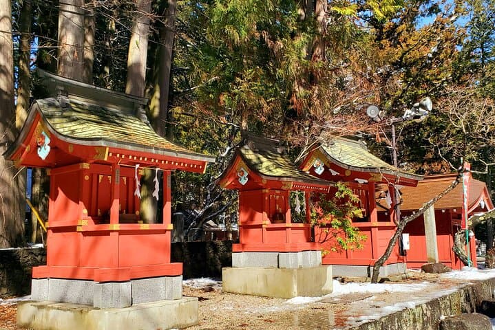 Mount Fuji and Hakone Private Tour from Tokyo (Customizable) — photo 12