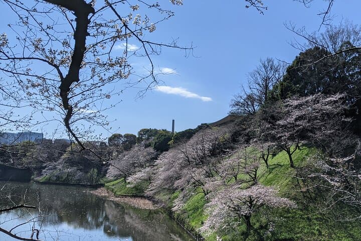 Tokyo Imperial Palace Higashi Gyoen Wellness Experience — photo 5