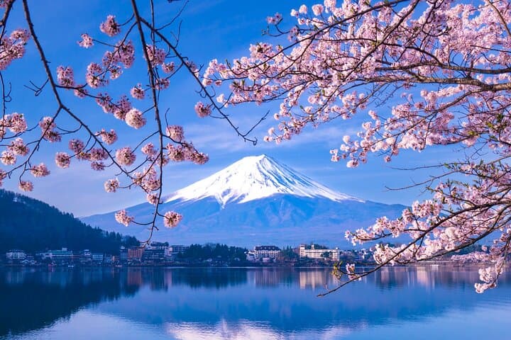 Discover Mt. Fuji area & Lake Kawaguchiko Sightseeing Day Tour — photo 13