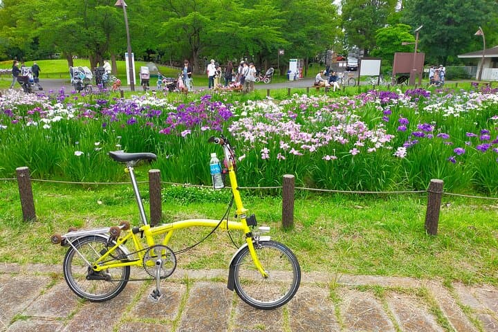 Explore Shibamata, Tokyo by folding bike 折りたたみ自転車で行く柴又ポタリング — photo 17