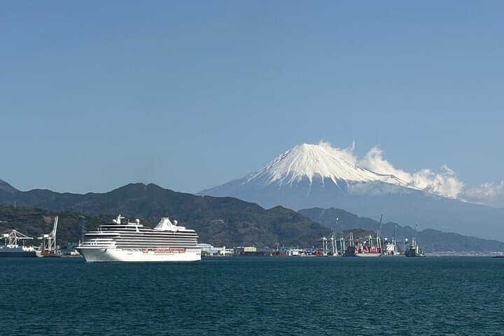 Private sightseeing tour from Shimizu Port / Van Taxi — photo 11