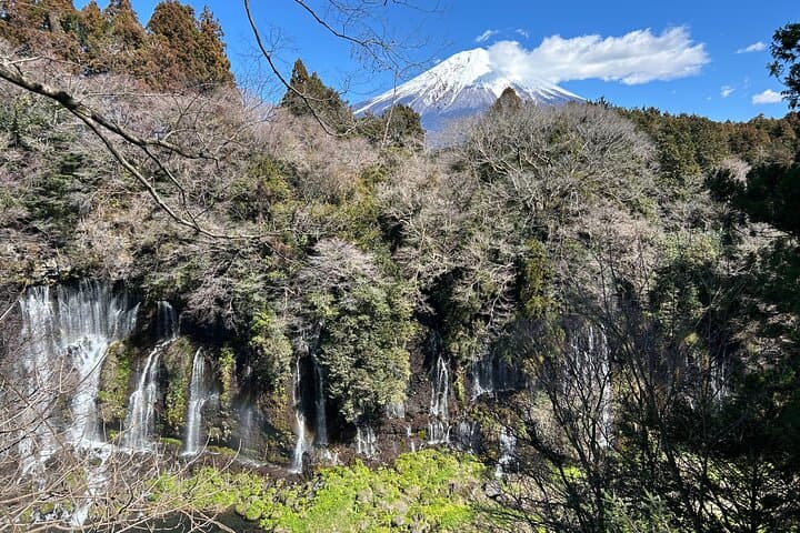 Mt.Fuji area Tour from Shimizu Port / Van Taxi — photo 7