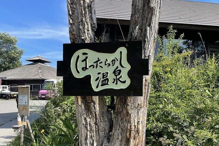 Mt. Fuji, Onsen (tattoo ok) & Japanese Sake, Wine & Whiskey tour — photo 6