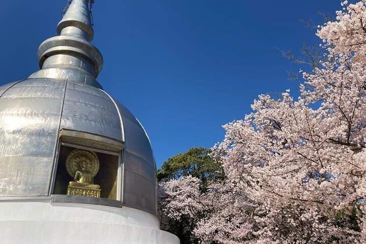 Hiroshima Local guided Hiking Tour&Open-air Tea Ceremony — photo 17