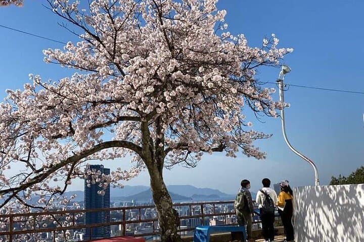 Hiroshima Local guided Hiking Tour&Open-air Tea Ceremony — photo 18